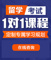 日韩动漫操基基留学考试一对一精品课